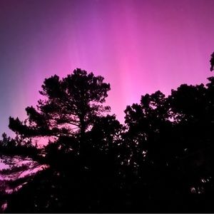 Meet your Posher, Alley